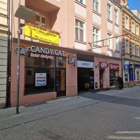 4b 45m2 Center Polwiejska 1st Floor * Poznań